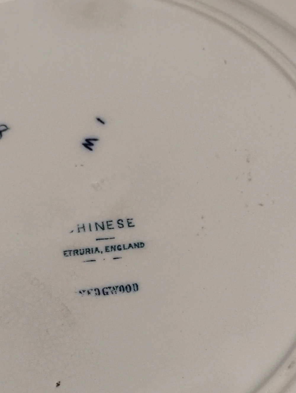 🕊️ Wedgwood Devotion Fine Bone China PLATE 8
